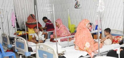 ডেঙ্গুতে হাসপাতালে ভর্তি ২৪ ঘণ্টায় ৮৬ জন
