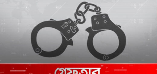 মালয়েশিয়ার চলন্ত বাসে নারীর শ্লীলতাহানির অভিযোগে বাংলাদেশি যুবক গ্রেফতার