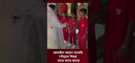 জোবাইদা রহমান বাবার বাসায় পৌছালে শিশুরা স্বাগত জানায় #drzubayda #khaledazia #tareqrahman #anannya