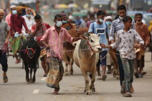 পশু কোরবানির পর বর্জ্য কীভাবে পরিষ্কার করবেন