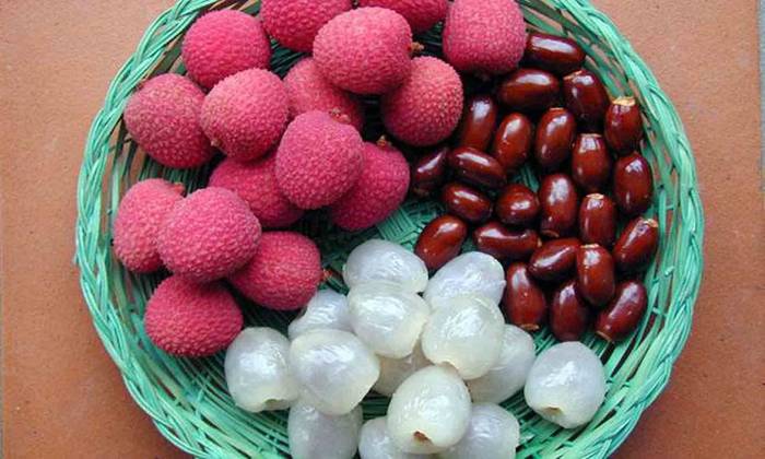 মৌসুমি ফল এর গুণাবলি 
