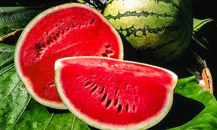 মৌসুমি ফল এর গুণাবলি 
