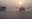 শীতের কুয়াশা
